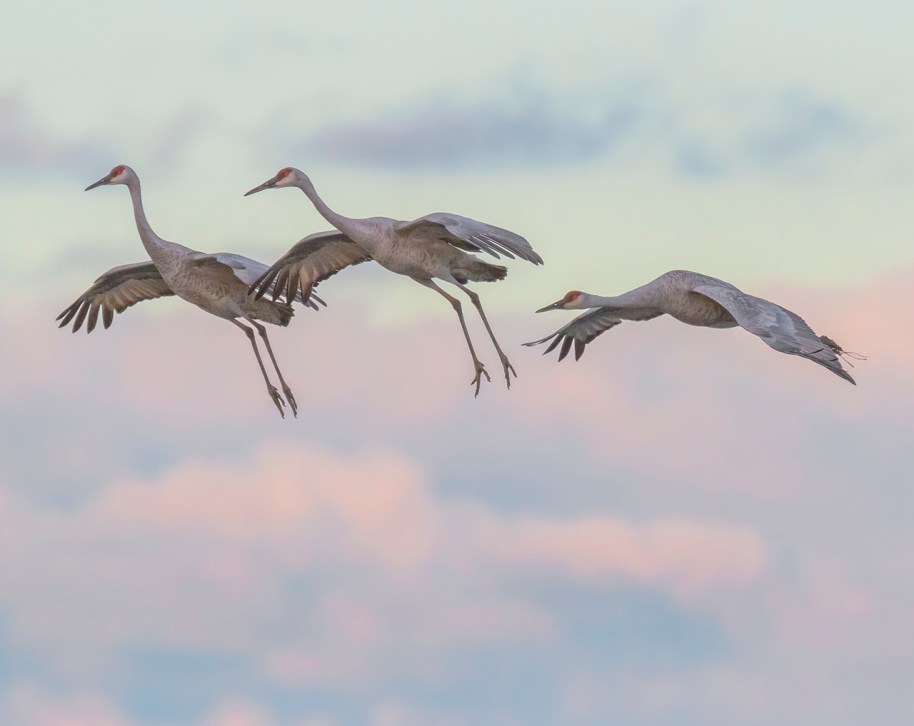 putting on the brakes