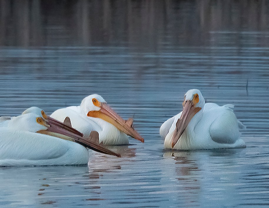 meeting of the minds